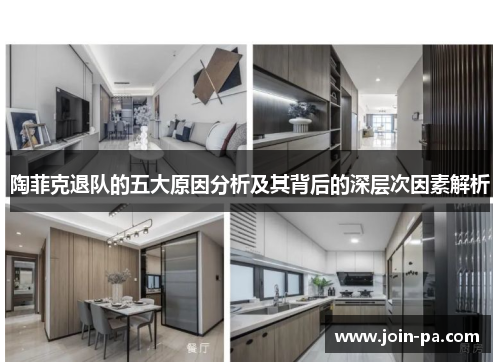 陶菲克退队的五大原因分析及其背后的深层次因素解析 陶菲克退队的五大原因分析及其背后的深层次因素解析