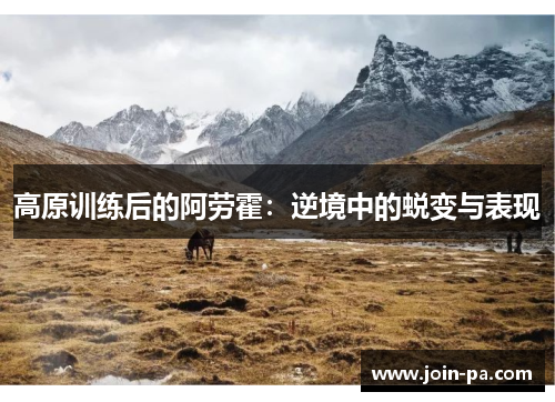 高原训练后的阿劳霍：逆境中的蜕变与表现